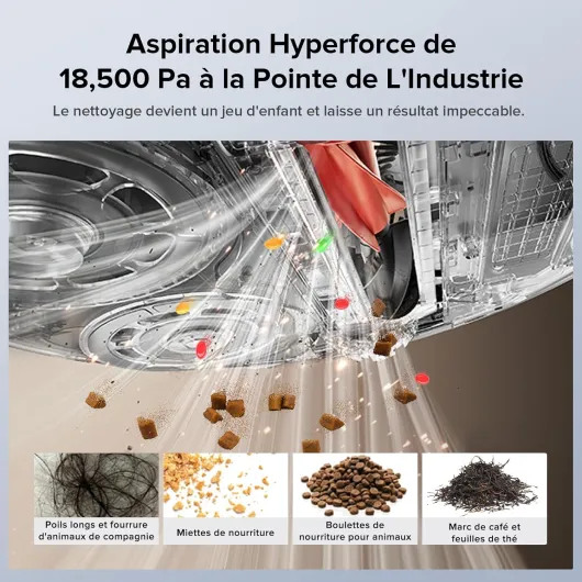 813cXtJ2t8L._AC_SL1500_