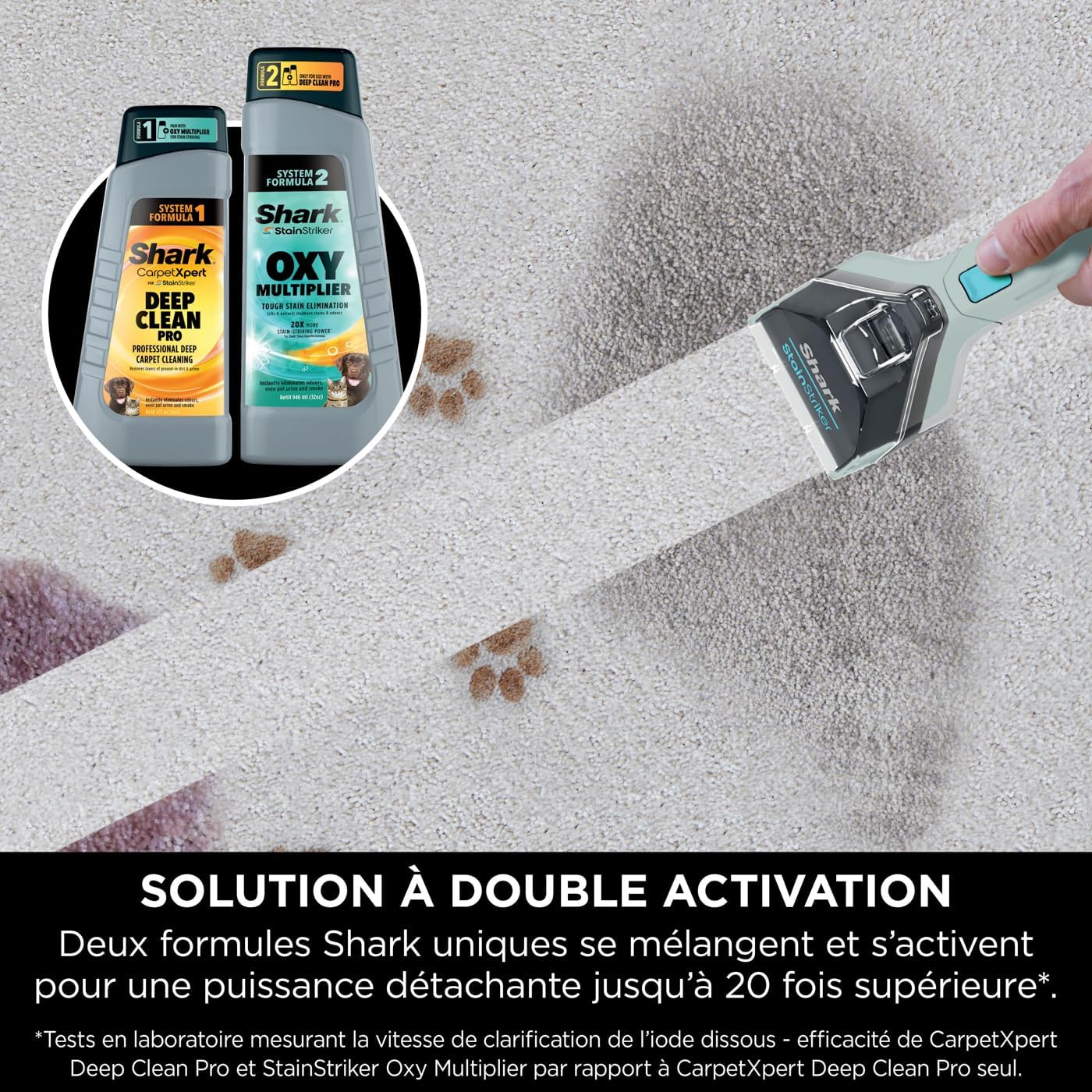StainStriker Nettoyeur tâches 5 accessoires, pour animaux, suceur plat et tuyaux, 2 formules de nettoyage CarpetXpert (946 ml) & StainStriker (474 ml) pour enlever les taches, Gris, PX200EUCP