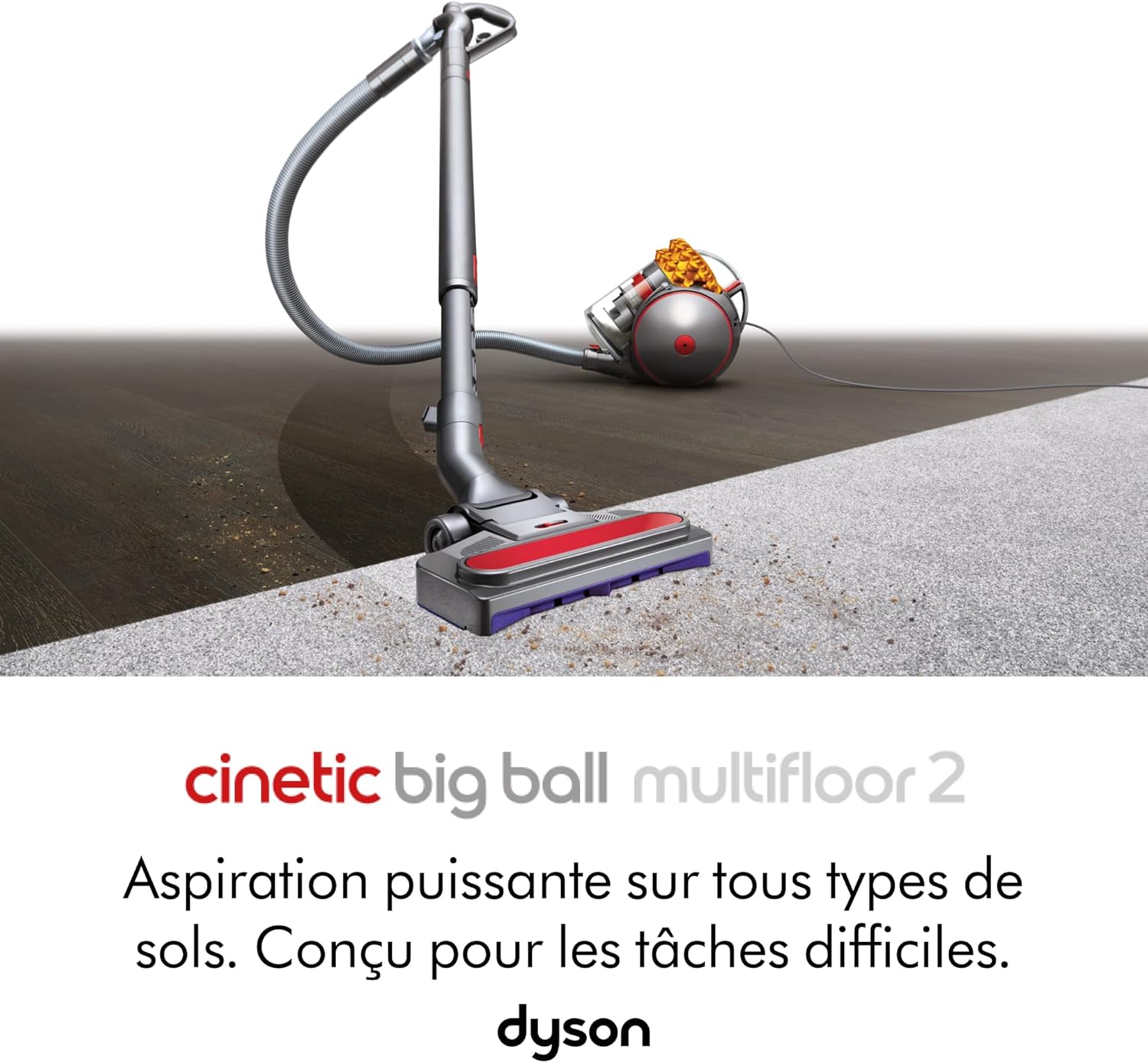 Aspirateur Dyson Cinetic Big Ball Multifloor 2